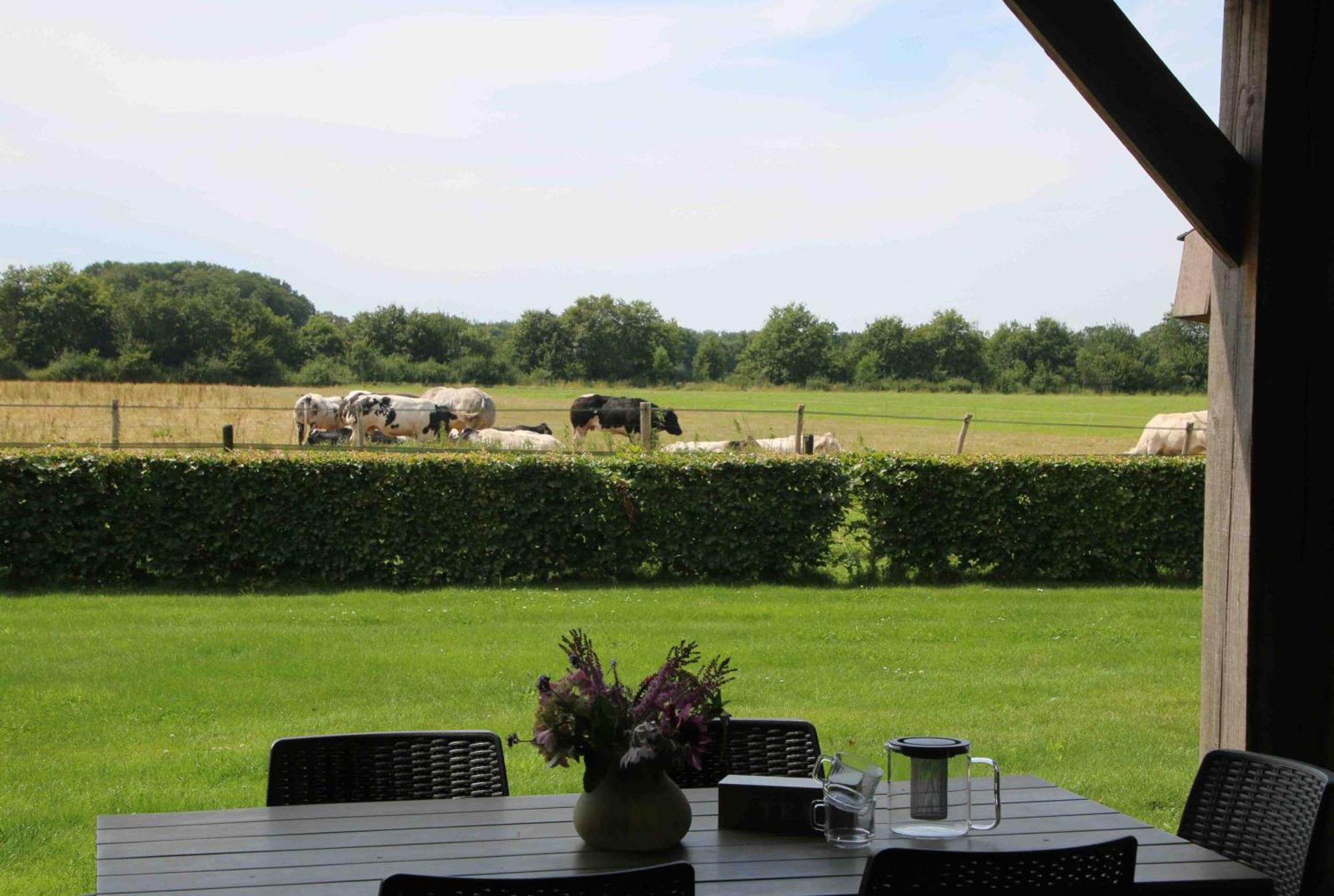 Vakantiehuis Weideblik Biezenmortel Bagian luar foto