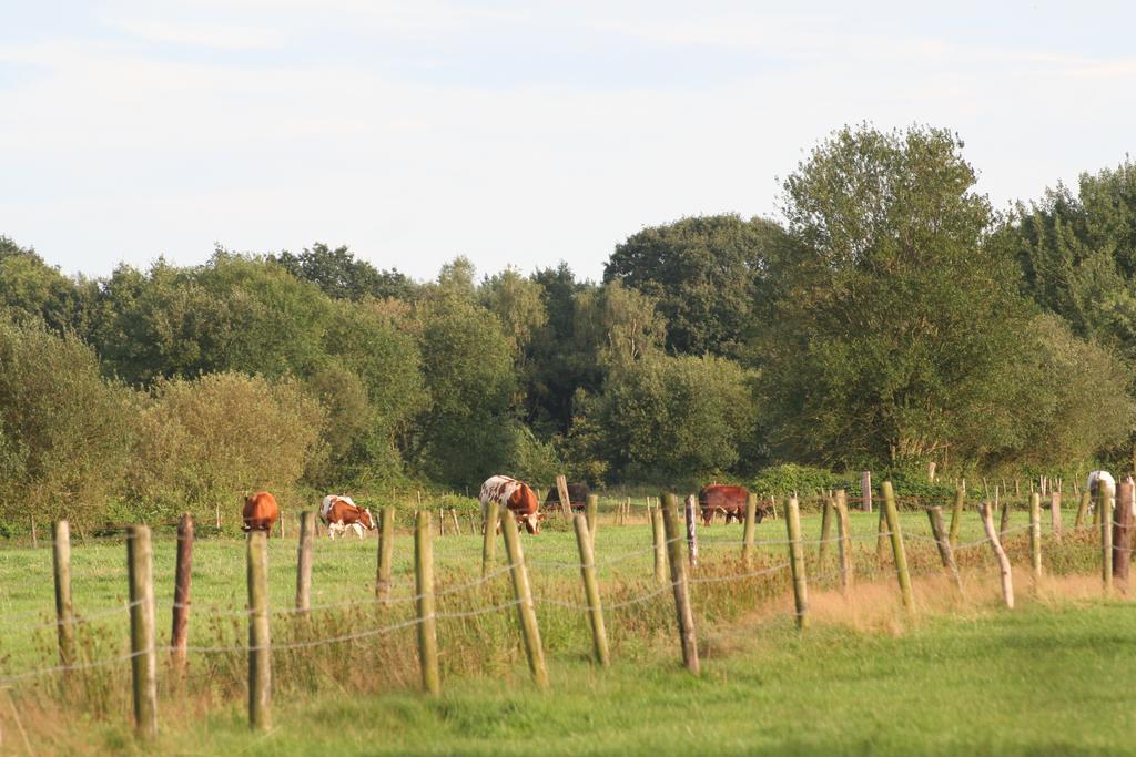 Vakantiehuis Weideblik Biezenmortel Bagian luar foto